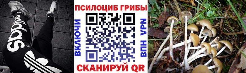 Псилоцибиновые грибы MAGIC MUSHROOMS Красноармейск