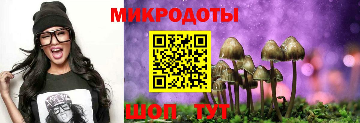Галлюциногенные грибы мицелий Красноармейск